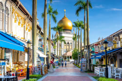 Sultan Mosque 