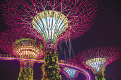 Supertrees, Gardens by the Bay 