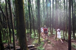Hiking, Geomunoreum ©Photo Korea - Kim Jiho