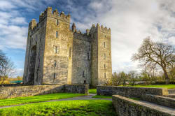 Bunratty Castle 