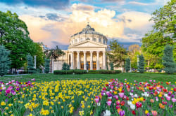 Romanian Athenaeum, Bucharest 