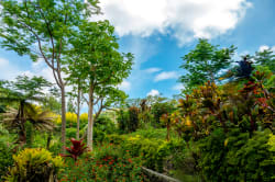 Garden of the Sleeping Giants 
