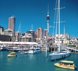 Auckland harbor