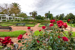 Bosques de Palermo 