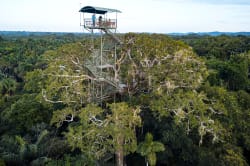 Canopy tower photo by MV Manatee ©Anakonda Amazon Cruises