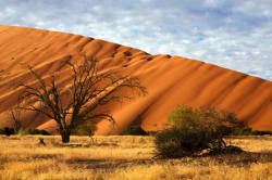 Sossusvlei sand dunes