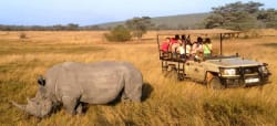 Getting up close with a rhino at Entabeni Conservancy Photo by Martin Weinberg