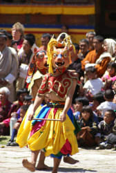 Festival dancer