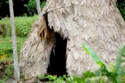 Traditional Maleku hut Photo by Stevenj