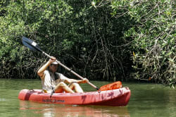 Kayaking, Damas Mangrove 