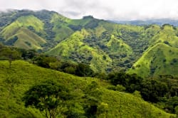 Monteverde Cloud Forest Reserve 