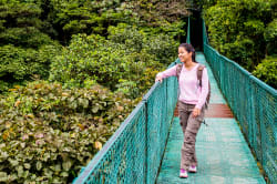 Hanging bridge, Selvatura 