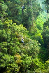 Riding a zip line through the canopy 