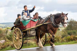 Jaunting Car Ride, Killarney National Park © Tourism Ireland