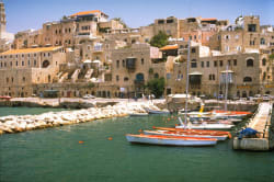 Jaffa 