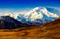 Denali National Park 