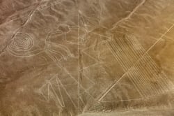 Monkey, Nazca Lines 