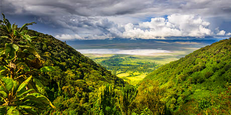 Panoramic view of Ngorongoro Crater
