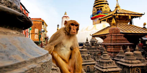 Best of Nepal