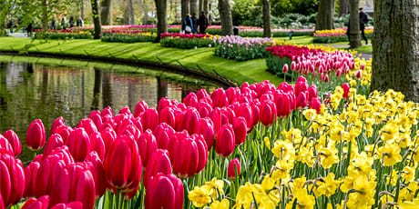 Keukenhof Gardens