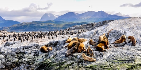 Beagle Channel