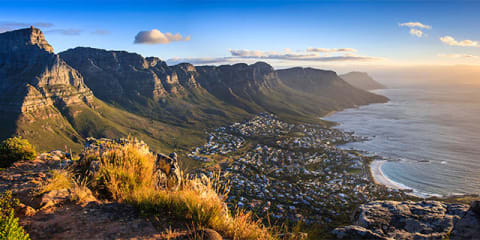 A Taste of South Africa