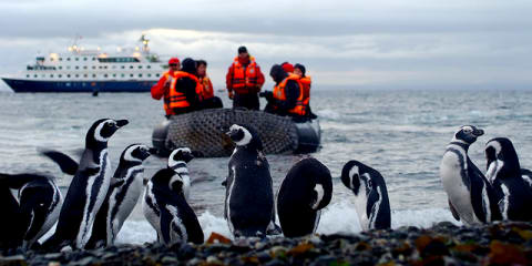 Patagonian Explorer by Land & Sea