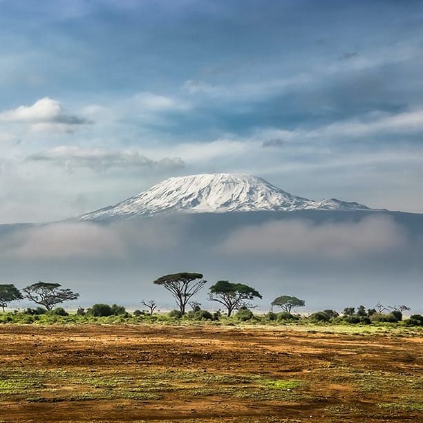 Kilimanjaro
