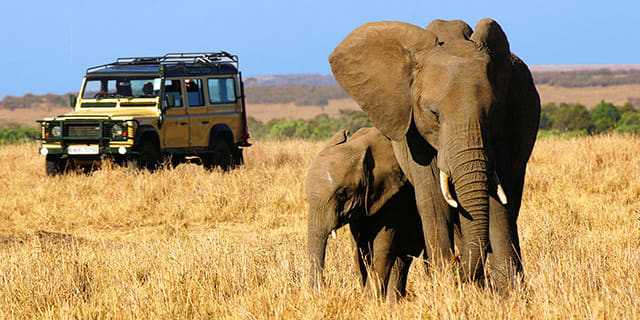 Africa