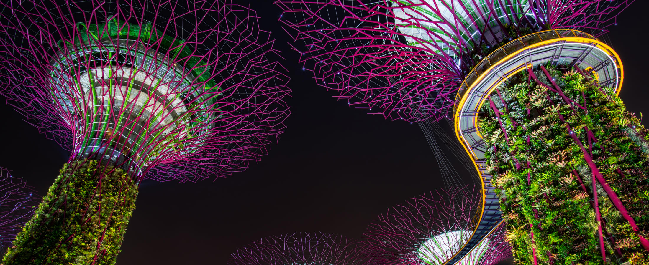 <h1>Sorry, our sale is over!</h1>