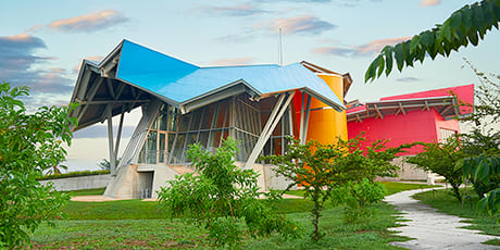 Biomuseo