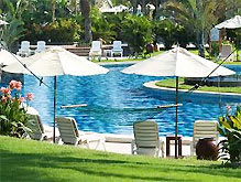 Palm Garden swimming pool