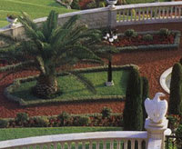 Bahai Gardens