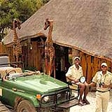 Edeni game drive