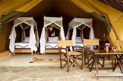 Triple tent