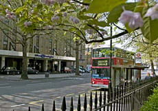 Hilton Kensington exterior view