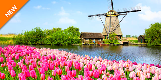 Tulip Time with AmaWaterways