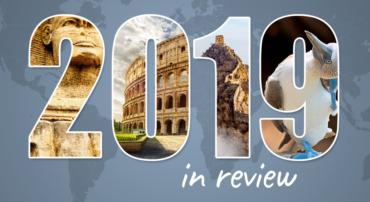 2019 in review