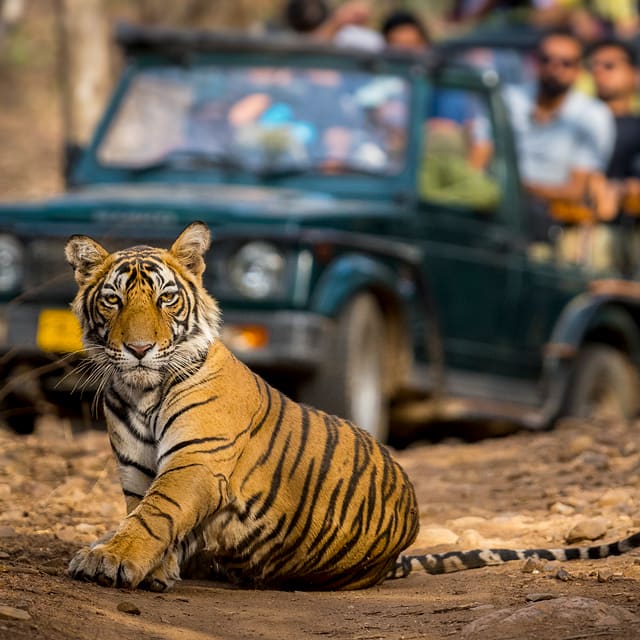 Ranthambore