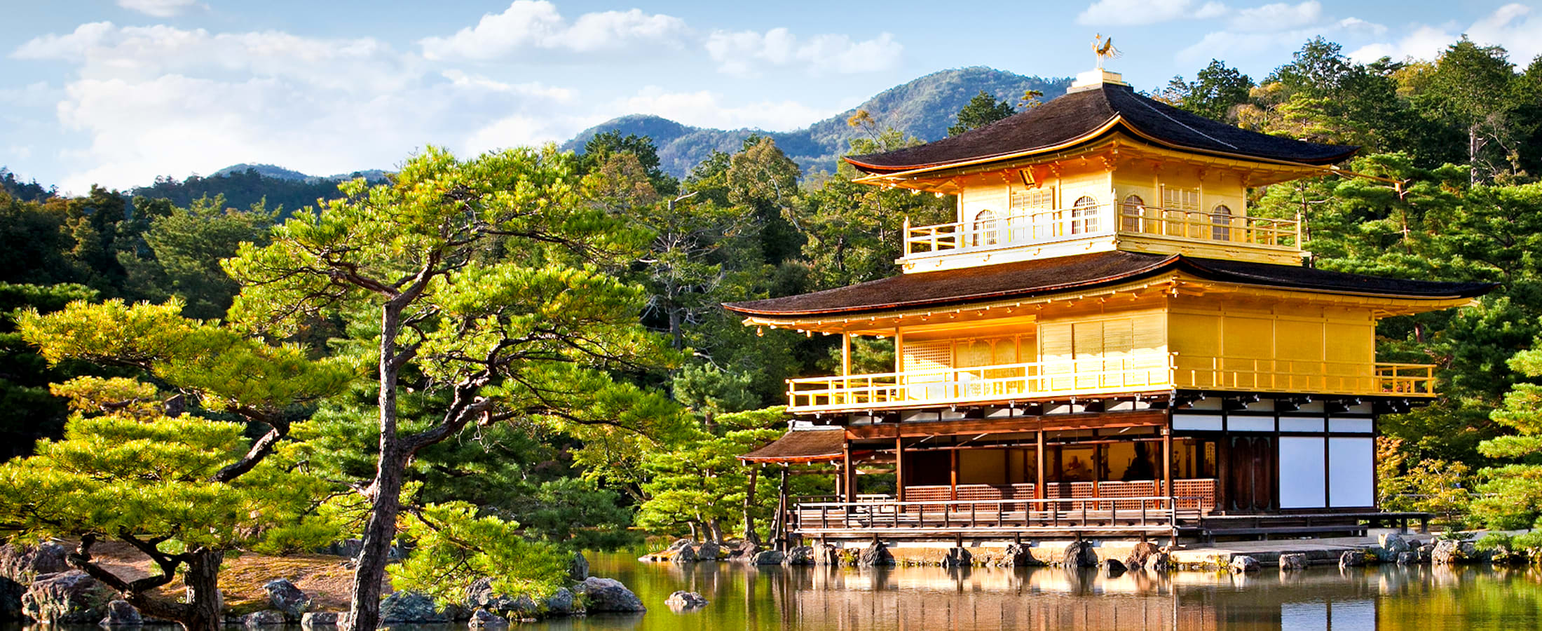 Japan Panorama