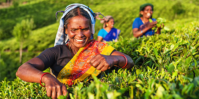 Best of Sri Lanka