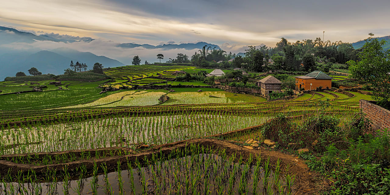 Vietnam