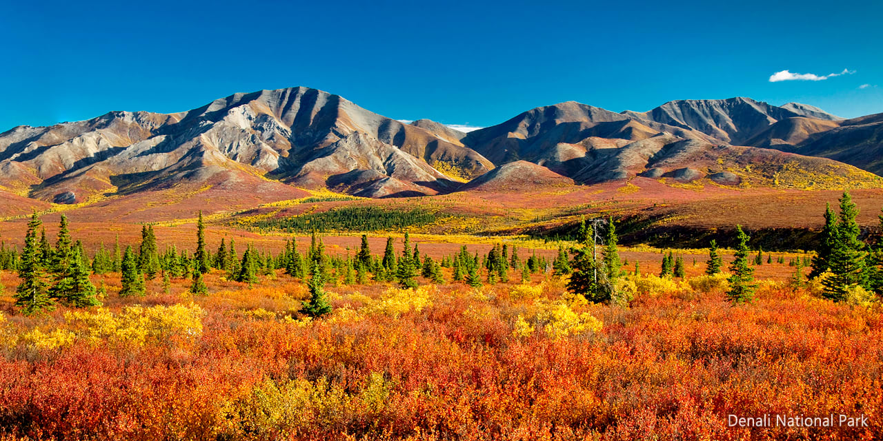 Denali National Park