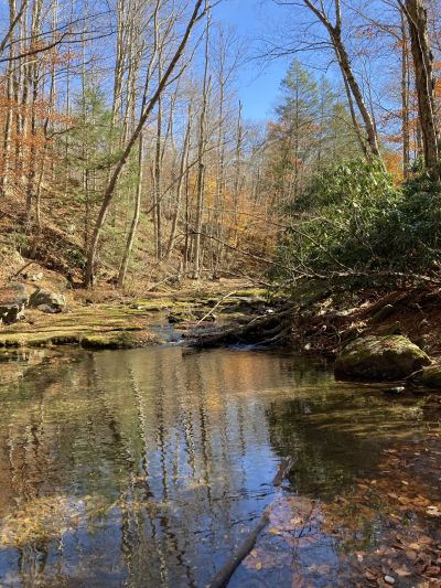 Hiking around some waterfalls near Scranton, Pennsylvania