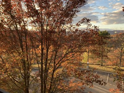 Amy and I love fall foliage