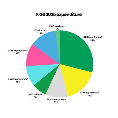 FIGS annual accounts