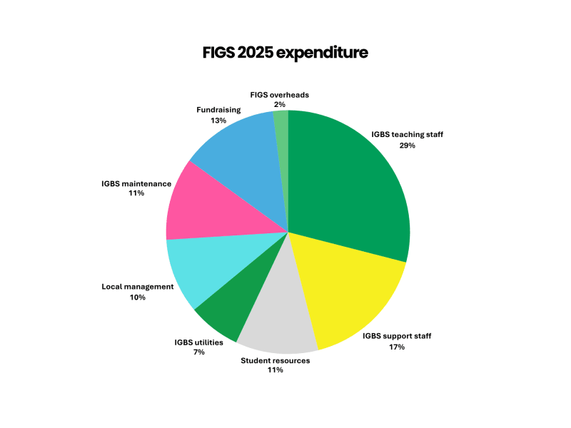 FIGS annual accounts