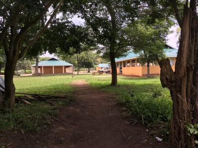 2018-06-School-Trees-And-Buildings