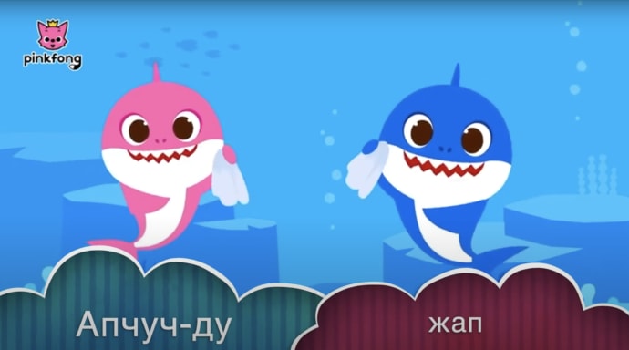 RPCV collaborates with local organization to translate baby shark Wash your Hands video into Kyrgyz