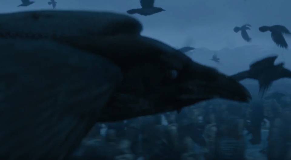 Bran, merasuki burung gagak